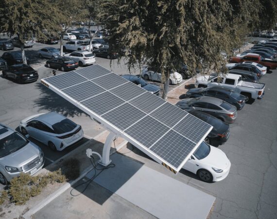 pexels photo 9800031