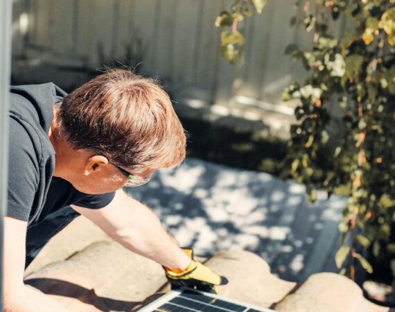 pexels photo 9875412