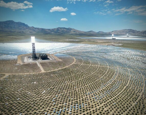 pexels photo 14096756