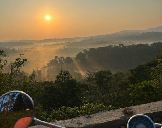 pexels photo 16544238