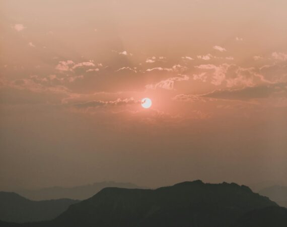 pexels photo 4450409