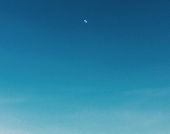 pexels photo 6195041