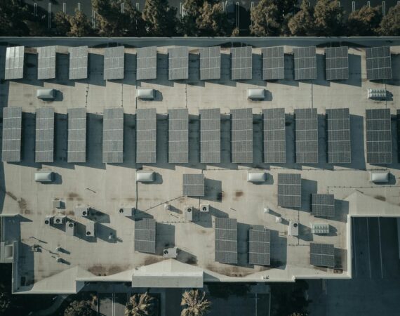 pexels photo 9800001