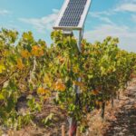 為什麼選擇太陽能解決方案對企業有益